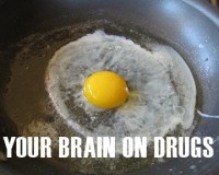 brainOnDrugs.V2