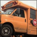 school-bus_bug