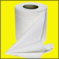 toilet paper_bug